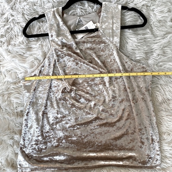 Anthropologie Porridge Jessie Velvet Halter Top - Picture 14 of 14